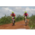 Team 02 / Raid Amazones Sri Lanka 2018 - J3 VTT