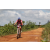 Team 103 / Raid Amazones Sri Lanka 2018 - J3 VTT