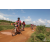 Team 147 / Raid Amazones Sri Lanka 2018 - J3 VTT