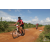 Team 27 / Raid Amazones Sri Lanka 2018 - J3 VTT