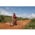 Team 123 / Raid Amazones Sri Lanka 2018 - J3 VTT