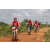 Team 128 / Raid Amazones Sri Lanka 2018 - J3 VTT