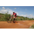 Team 60 / Raid Amazones Sri Lanka 2018 - J3 VTT