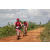 Team 16 / Raid Amazones Sri Lanka 2018 - J3 VTT