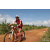 Team 126 / Raid Amazones Sri Lanka 2018 - J3 VTT