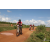 Team 63 / Raid Amazones Sri Lanka 2018 - J3 VTT