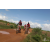 Team 41 / Raid Amazones Sri Lanka 2018 - J3 VTT
