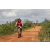 Team 116 / Raid Amazones Sri Lanka 2018 - J3 VTT
