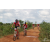 Team 57 / Raid Amazones Sri Lanka 2018 - J3 VTT