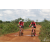 Team 05 / Raid Amazones Sri Lanka 2018 - J3 VTT