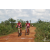 Team 55 / Raid Amazones Sri Lanka 2018 - J3 VTT