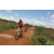 Team 55 / Raid Amazones Sri Lanka 2018 - J3 VTT