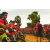Raid Amazones Sri Lanka 2018 - J3 VTT