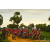 Raid Amazones Sri Lanka 2018 - J3 VTT