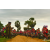 Raid Amazones Sri Lanka 2018 - J3 VTT