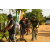 Raid Amazones Sri Lanka 2018 - J3 VTT