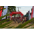 Team 131 / Raid Amazones Sri Lanka 2018 - J3 VTT