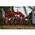 Team 54 / Raid Amazones Sri Lanka 2018 - J3 VTT