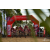 Team 34 / Raid Amazones Sri Lanka 2018 - J3 VTT