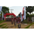 Team 18 / Raid Amazones Sri Lanka 2018 - J3 VTT