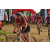 Team 104 / Raid Amazones Sri Lanka 2018 - J3 VTT