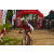 Team 111 / Raid Amazones Sri Lanka 2018 - J3 VTT