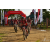 Team 137 / Raid Amazones Sri Lanka 2018 - J3 VTT