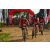 Team 61 / Raid Amazones Sri Lanka 2018 - J3 VTT
