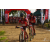 Team 137 / Raid Amazones Sri Lanka 2018 - J3 VTT