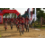 Team 23 / Raid Amazones Sri Lanka 2018 - J3 VTT