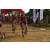 Team 58 / Raid Amazones Sri Lanka 2018 - J3 VTT