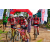 Team 118 / Raid Amazones Sri Lanka 2018 - J3 VTT