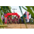 Team 70 / Raid Amazones Sri Lanka 2018 - J3 VTT