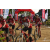 Team 126 / Raid Amazones Sri Lanka 2018 - J3 VTT
