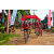 Team 71 / Raid Amazones Sri Lanka 2018 - J3 VTT