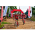 Team 71 / Raid Amazones Sri Lanka 2018 - J3 VTT