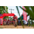 Team 31 / Raid Amazones Sri Lanka 2018 - J3 VTT