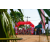 Team 05 / Raid Amazones Sri Lanka 2018 - J3 VTT
