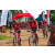 Team 51 / Raid Amazones Sri Lanka 2018 - J3 VTT