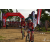 Team 64 / Raid Amazones Sri Lanka 2018 - J3 VTT