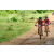 Team 50 / Raid Amazones Sri Lanka 2018 - J3 VTT