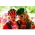 Team 111 / Raid Amazones Sri Lanka 2018 - J3 VTT