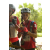 Team 126 / Raid Amazones Sri Lanka 2018 - J3 VTT