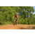 Team 116 / Raid Amazones Sri Lanka 2018 - J3 VTT