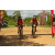 Team 45 / Raid Amazones Sri Lanka 2018 - J3 VTT