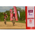Team 11 / Raid Amazones Sri Lanka 2018 - J3 VTT