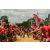 Team 102 / Raid Amazones Sri Lanka 2018 - J3 VTT
