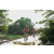 Team 45 / Raid Amazones Sri Lanka 2018 - J3 VTT