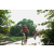 Team 45 / Raid Amazones Sri Lanka 2018 - J3 VTT