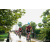 Team 101 / Raid Amazones Sri Lanka 2018 - J3 VTT